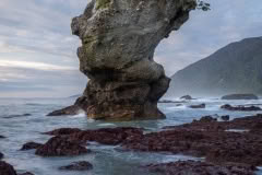 Motukeikei beach stacks