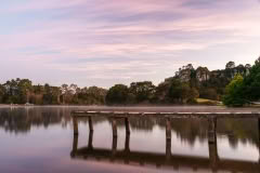 Waikato lake reflections