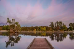 Waikato lake reflections