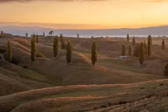 Waikato early mornings