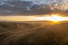 Waikato early mornings