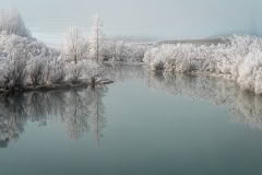 Hoar Frost Twizel