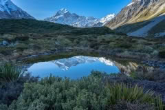 Hooker Lake walk reflection