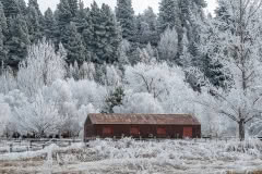 Hoar Frost, farm building