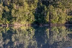 GoldenBay reflections