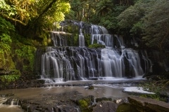 Catlins-27