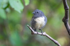 Nelson-Marlborough-00608