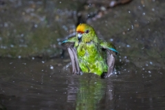 Nelson-Marlborough-00704