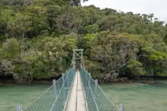 Rakiura track