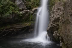 Wainui-falls-302