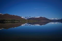 Lake Heron reflecting