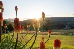 January 2020 overnight hike to Lake Angelus