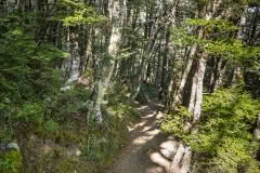 January 2020 overnight hike to Lake Angelus