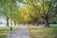 IMG_20200401_155438-1