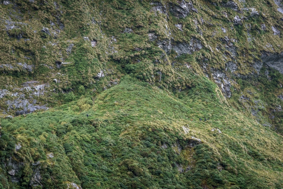 MacKinnon Pass, zoomed