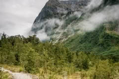 Day 2, Track by Hirere Falls