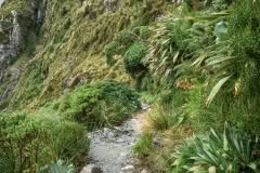 MacKinnon Pass, descent