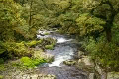 Day 3, Milford Track