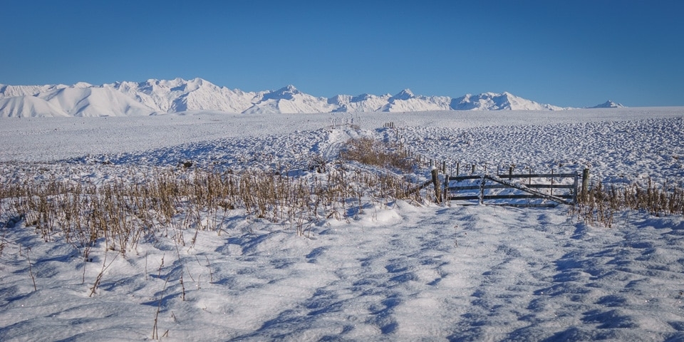 Road to Pukaki from Tekapo