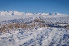 Road to Pukaki from Tekapo