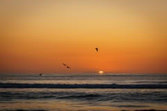 sunrise, Waimari Beach, Christchurch