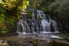 Catlins-27