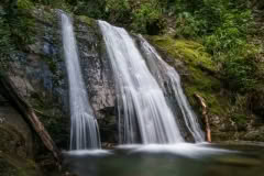 Ryde falls, Canterbury
