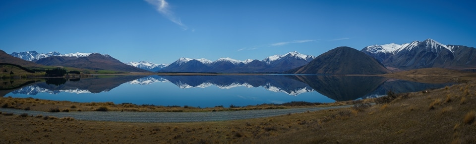 Lake Heron