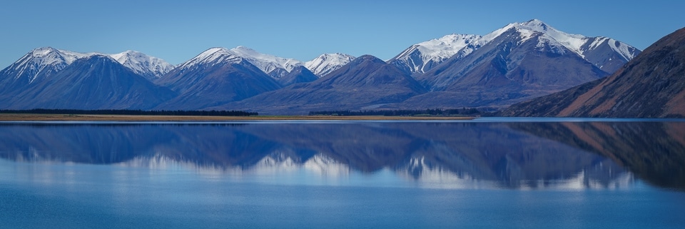 Lake Heron