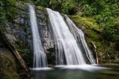 Ryde falls, Canterbury