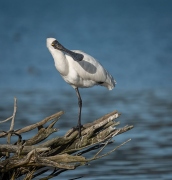 AkaroaMay22-18 AkaroaMay22-18