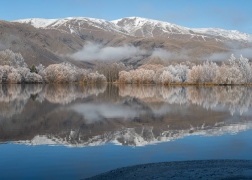 Hoar_Frost-296 Hoar_Frost-296