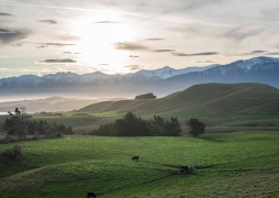 Kaikoura-649 Kaikoura-649