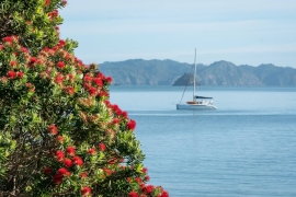 NorthIsland-50 NorthIsland-50