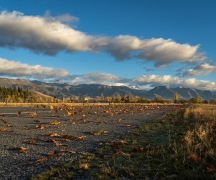 Twizel_Autumn-547 Twizel_Autumn-547