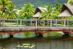 tahiti-2054