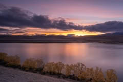 Alexandrina_autumn-19