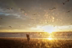 sunrise, Waimari Beach, Christchurch