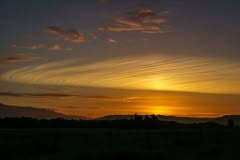 Sunset, Fox,  West Coast