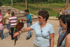 005IMG_0311