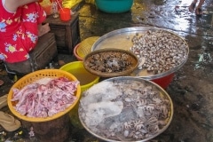 074IMG_0788-market-with-fish