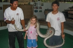 128IMG_1297-python-l
