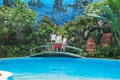 148IMG_1524-pool