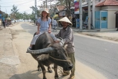 150IMG_1476-riding-buffalo