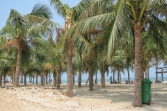 151IMG_1482-nha-trang-beach