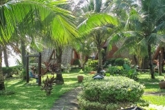171IMG_0042-mui-nei-3
