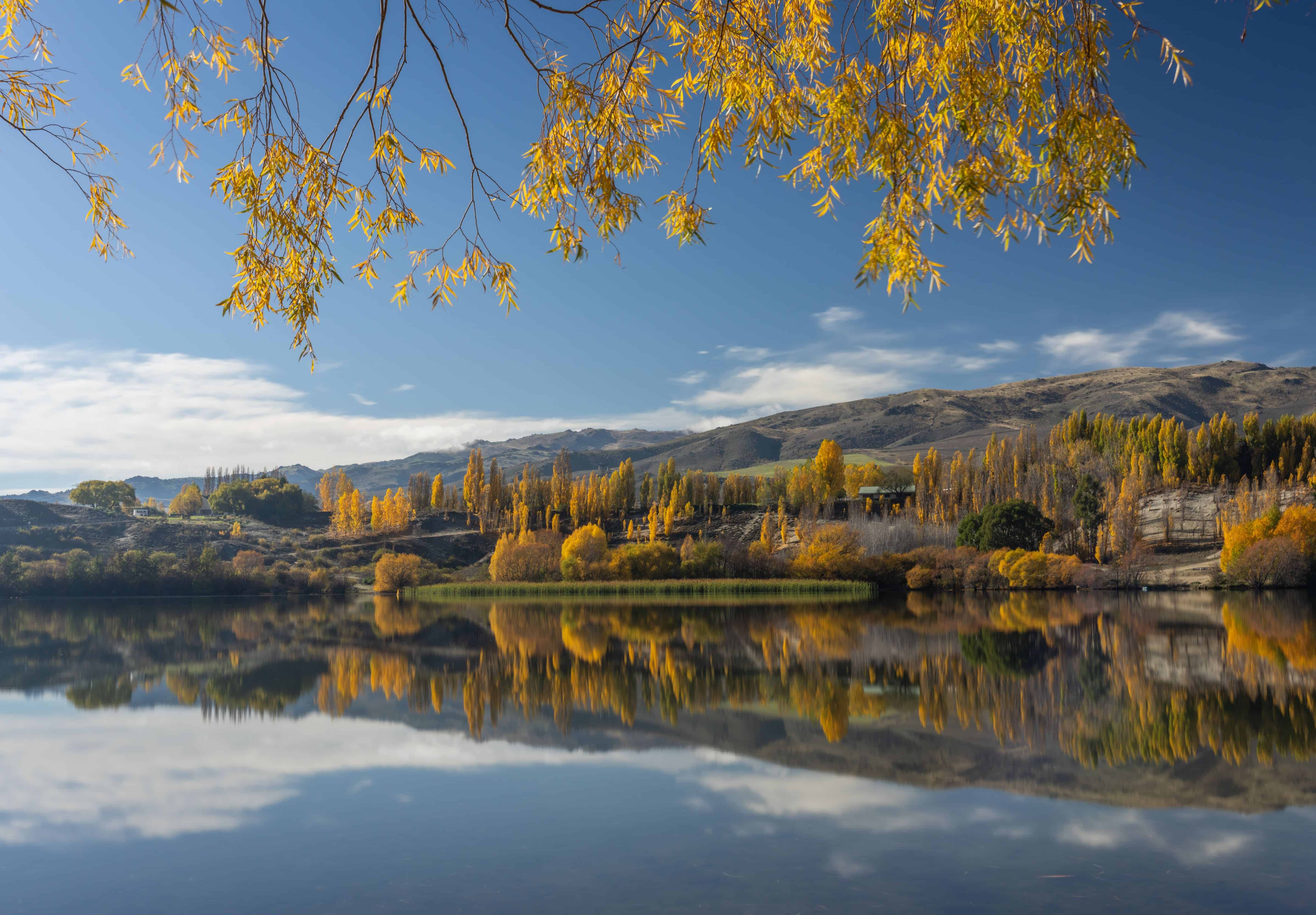 Autumn in Bannockburn