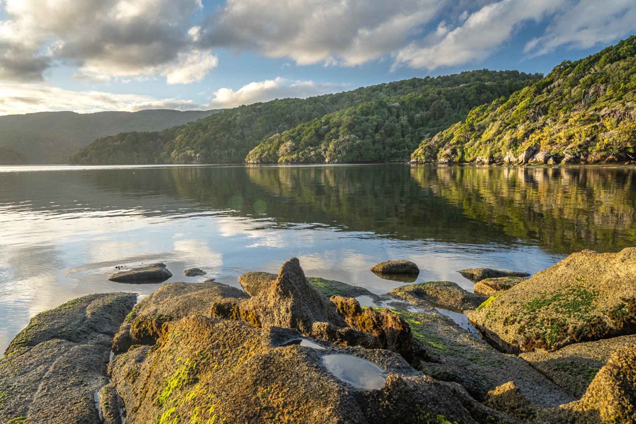 Stewart island Rakiura Track