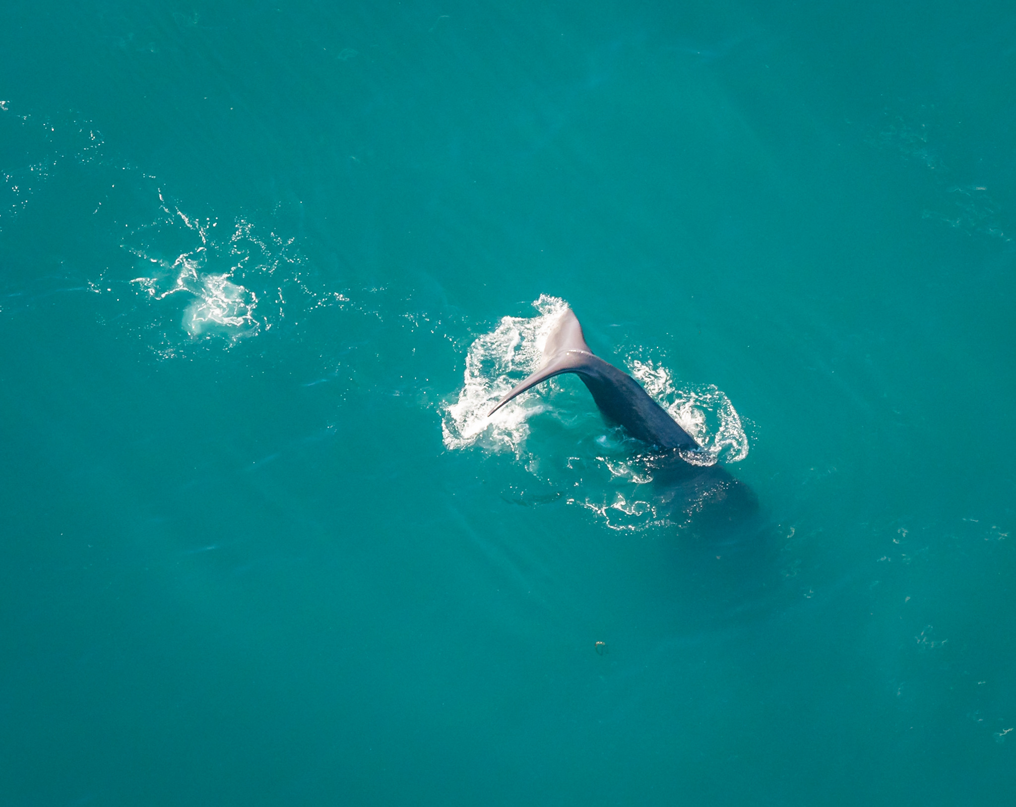 Kaikoura