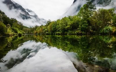Milford Track, NZ Great Walks